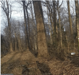 land purchase for Christ Restoration